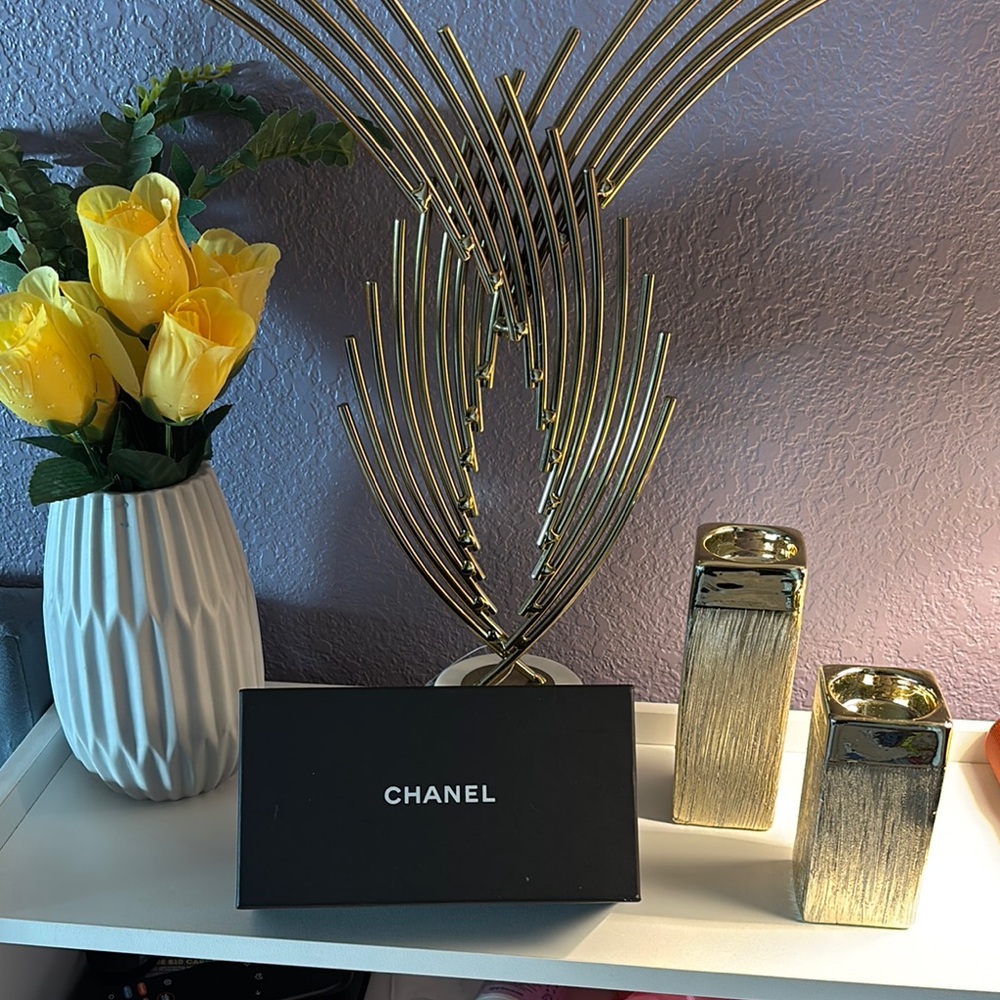 Chanel case
